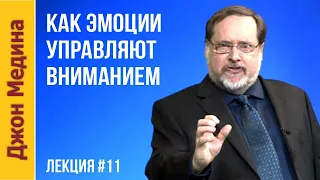 Как Эмоции управляют вниманием?  💥 Джон Медина — Ваш уникальный мозг — Лекция №11