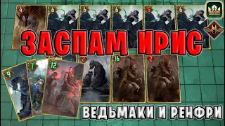 GWENT | ЗАСПАМ ИРИС - РЕНФРИ, БАНДИТЫ и ТРИО ВЕДЬМАКОВ (Неутолимый голод) — гайд | Гвинт Патч 11.8