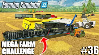 FIRST WHEAT HARVEST with the NEW LIZARD TWIN SCREW | MEGA FARM Challenge #36 | Farming Simulator 22