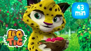 Leo & Tig - Batalha naval e mais episódios completos  | Desenho infantil 🐯🦁