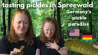 American tries pickles from Spreewald - German pickles - Spreewaldgurken