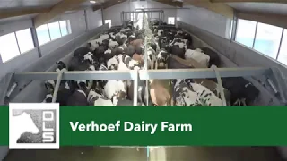 Milking Time-lapse - Verhoef Dairy Farm