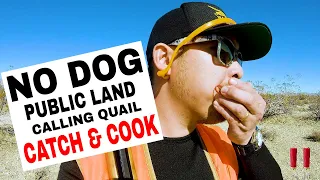 Solo Bird Hunting Without a Dog | Catch and Cook Quail in California