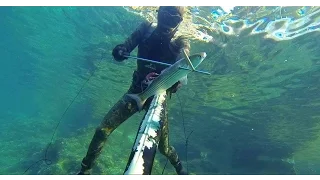 Podvodni ribolov Korčula 2016 (Pesca sub Korčula Croatia)
