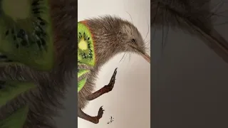 Holy shit this is awesome #kiwi