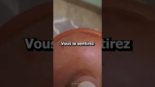 Tout le monde va tirer la chasse après cette vidéo