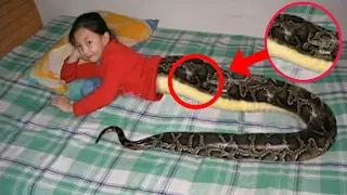 KALAHATING TAO AT KALAHATING AHAS | THAILAND'S HALF SNAKE HALF HUMAN | TAONG AHAS | VIRAL VIDEO | SN