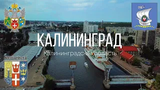 4K. Преголя. Калининград. Калининградская область.