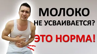 Непереносимость лактозы. Почему молоко не усваивается? Какие есть обходные пути?