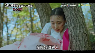 全台獨家《青春月譚》全少妮被指控殺人 無奈成為逃犯 청춘월담｜HamiVideo