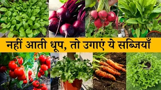 अगर नहीं आती धुप तो छाया में उगाएं ये सब्जियां | Shade Loving Vegetables In India In Hindi