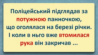 💠 Потужна Пані та Поліцейський у Кущах! Добірка Анекдотів Українською! Епізод #31