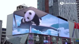 3D реклама  Китай ( С пандами)