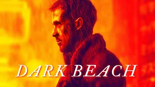 Dark Beach~Officer K (Bladerunner 2049)