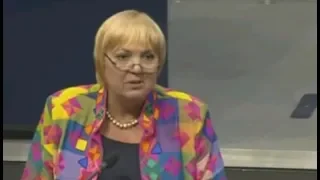 Regierungsbefragung 2019 Claudia Roth Norbert Kleinwächter Petr Bystron