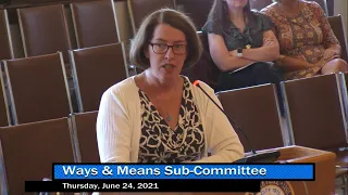 Ways and Means Sub-Committee Meeting: Budget Hearings (6/24/21)