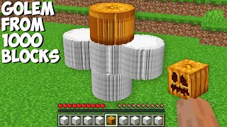 What HAPPENS if you SPAWN GOLEM from 1000 BLOCKS in Minecraft ? CURSED GOLEM !