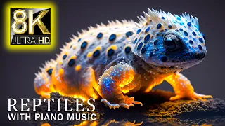 8K HDR 60FPS Dolby Vision - Reptiles and soul-relaxing music - Calm Piano Music - 8K ULTRA HD