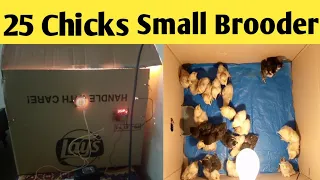 How To Make Brooder For Chicks  At Home In Cheap Price | 100 % Result