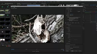 Upload Directly From Adobe Premiere Pro CC To YouTube