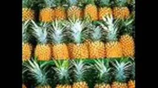 Pineapples