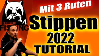 Russian Fishing 4 - 2022/23 Tutorial - #4 Mit 3 Stippen Moskitosee, Stippe verwenden, Aufbau