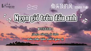 [Vietsub] NGỌN GIÓ TRÊN ĐẦU ANH (你头顶的风) - (Cover: 千禧) - Hot Douyin