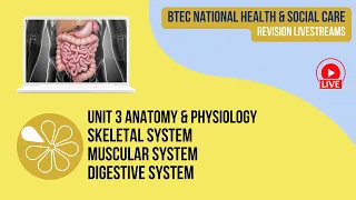 Skeletal, Muscular & Digestive Systems | Live Revision for HSC Unit 3 Anatomy & Physiology
