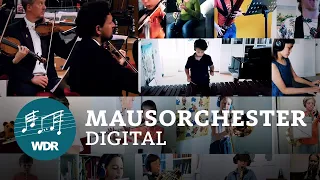 Mausorchester digital - Die Mausmelodie | Das Konzert mit der Maus | WDR Musikvermittlung