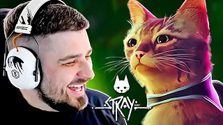 CAT SURVIVAL AFTER THE APOCALYPSE - STRAY WALKTHROUGH #1