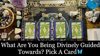 🪼WHAT ARE YOU BEING DIVINELY GUIDED TOWARDS? PICK A CARD✨