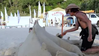 Noosa Festival Of Surfing 2015