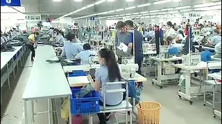 My Vietnam Working life