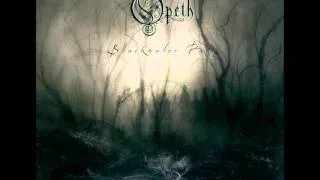 Opeth:the leper affinity