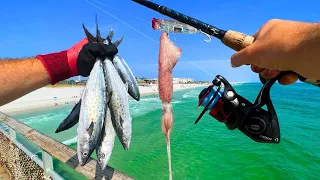 Eating Everything We Catch PIER FISHING!