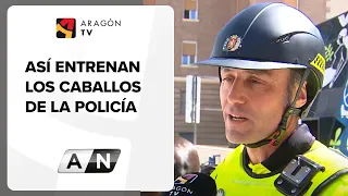 Así entrenan los caballos de la Policía de Zaragoza