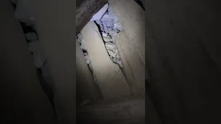 20ft drop- solo free climb in an Abandoned Mine is the only way out