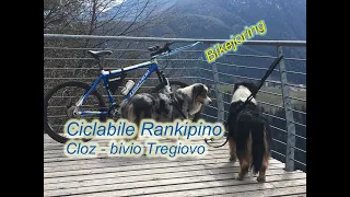 Bikejoring sulla ciclabile Rankipino in Val di Non: tratto Cloz-bivio Tregiovo.