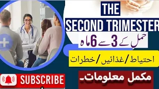 Pregnancy Ke 3-6 Months | Second Trimester Of Pregnancy | Tips | Urdu/Hindi | Health & Medical Care🌐