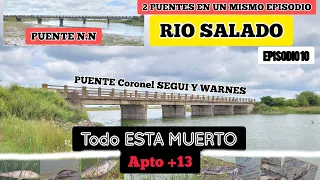 Pesca en el Rio Salado por Coronel Segui y warnes // mortandad De peces, carpas y bagres / MJ-PESCA