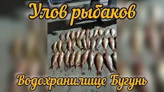 Рыбалка 2021 |водохранилище Бугунь Туркестанская область 2021 отчёт от группы | рыбалка |сазан