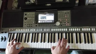 Юрий Шатунов - Седая Ночь Cover Yamaha PSR S970