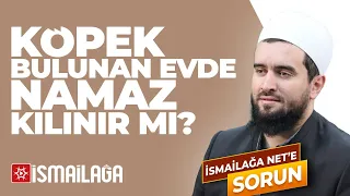 Köpek Bulunan Evde Namaz Kılınabilir mi? - Abdülhamid Türkeri Hoca Efendi