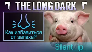 The Long Dark: Как избавиться от запаха?