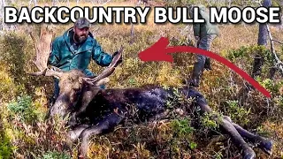 Backcountry Moose Hunt & Small Game Hunting In Newfoundland! (Bull Down!)