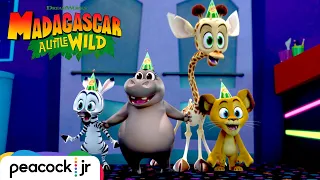 MADAGASCAR A LITTLE WILD | Season 6 Trailer