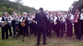 Orquestra de Violeiros de Mauá - Programa Clube de Campo - Asa Branca