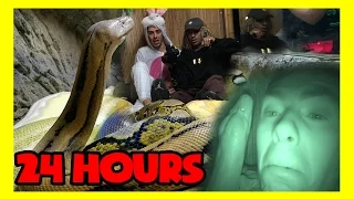 24 HOURS IN A DEADLY SNAKE CAGE ( all night / 24 hr challenge )