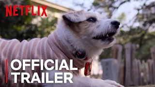 Dogs | Official Trailer [HD] | Netflix