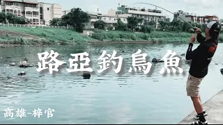 看得到卻釣不到！烏魚真的像大家所說「烏魚不吃路亞嗎」？！#路亞#釣魚 #高雄 #南部 #後勁溪 #烏魚#烏魚季#砲彈衝擊#真路玩#路玩#假餌